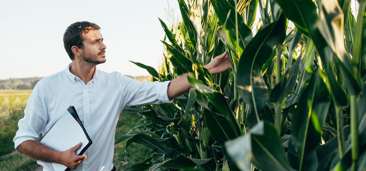 Redirection - Alimentos e agronegócios